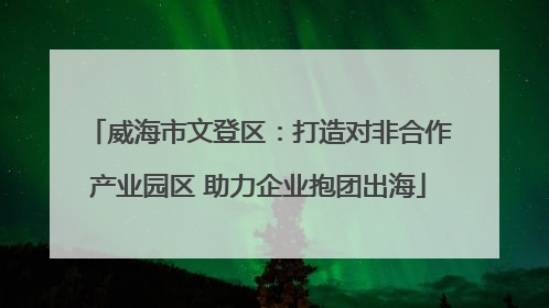 威海市文登区：打造对非合作产业园区 助力企业抱团出海