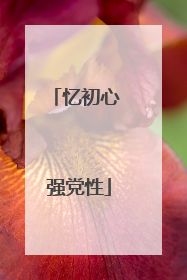 忆初心 强党性