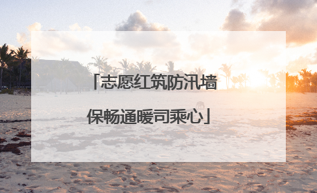 志愿红筑防汛墙 保畅通暖司乘心