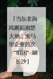 当东非海风邂逅湘楚大地，索马里企业首次“组团”刷长沙