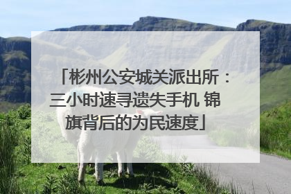 彬州公安城关派出所：三小时速寻遗失手机 锦旗背后的为民速度