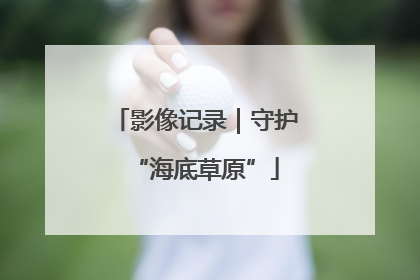 影像记录｜守护“海底草原”