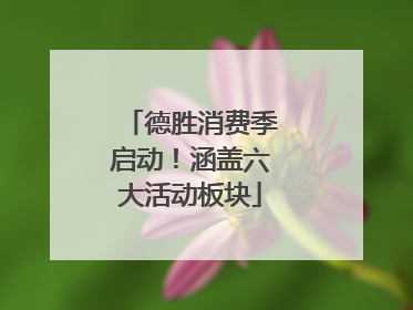 德胜消费季启动！涵盖六大活动板块
