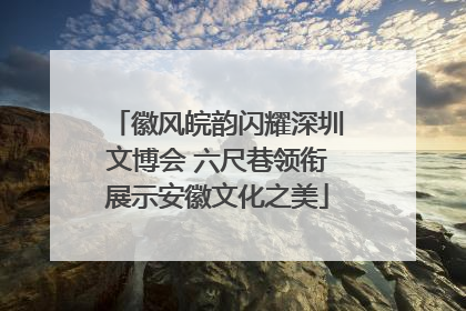 徽风皖韵闪耀深圳文博会 六尺巷领衔展示安徽文化之美
