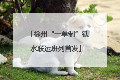 徐州“一单制”铁水联运班列首发