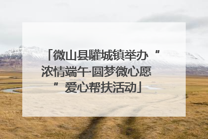 微山县驩城镇举办“浓情端午·圆梦微心愿”爱心帮扶活动