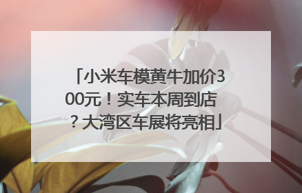小米车模黄牛加价300元！实车本周到店？大湾区车展将亮相