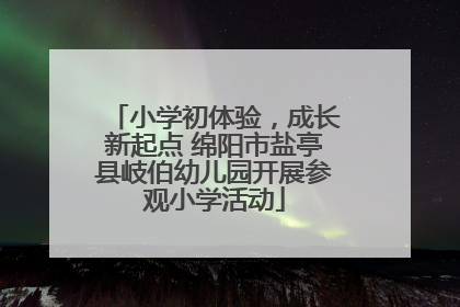 小学初体验，成长新起点 绵阳市盐亭县岐伯幼儿园开展参观小学活动