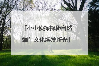 小小侦探探秘自然 端午文化焕发新光