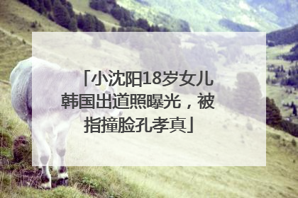 小沈阳18岁女儿韩国出道照曝光，被指撞脸孔孝真
