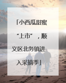 小西瓜甜蜜“上市”，顺义区北务镇进入采摘季
