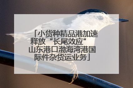 小货种精品港加速释放“长尾效应” 山东港口渤海湾港国际件杂货运业务