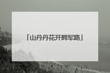 山丹丹花开拥军路