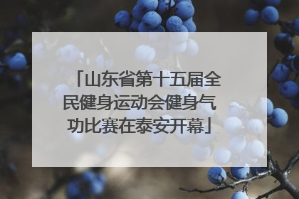 山东省第十五届全民健身运动会健身气功比赛在泰安开幕
