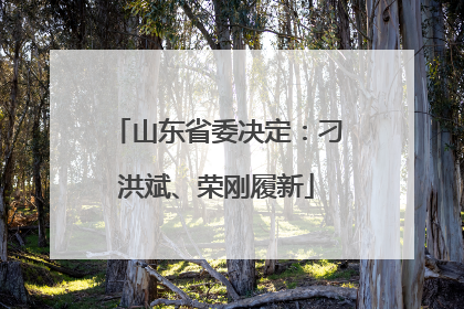 山东省委决定：刁洪斌、荣刚履新