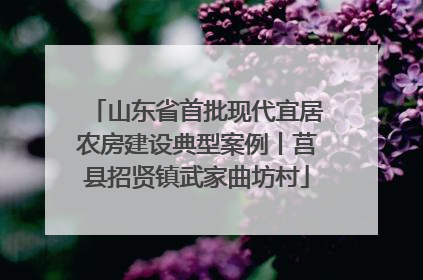 山东省首批现代宜居农房建设典型案例丨莒县招贤镇武家曲坊村
