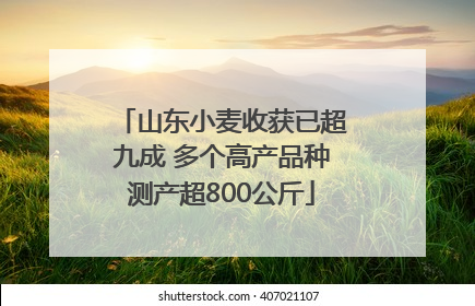 山东小麦收获已超九成 多个高产品种测产超800公斤