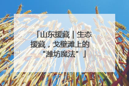山东援藏｜生态援藏，戈壁滩上的“潍坊魔法”