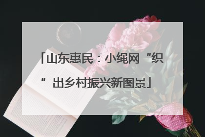 山东惠民：小绳网“织”出乡村振兴新图景
