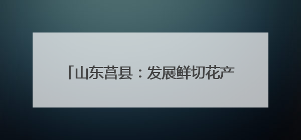 山东莒县：发展鲜切花产业 点亮“美丽经济”