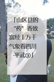 山区县的“药”香致富经丨万千气象看四川·平武③