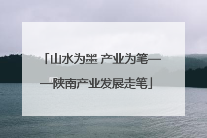 山水为墨 产业为笔——陕南产业发展走笔