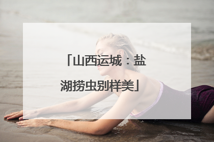 山西运城：盐湖捞虫别样美