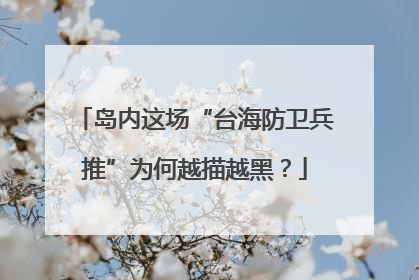岛内这场“台海防卫兵推”为何越描越黑？