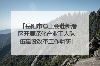 岳阳市总工会赴新港区开展深化产业工人队伍建设改革工作调研