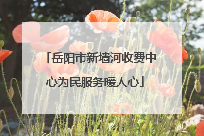岳阳市新墙河收费中心为民服务暖人心