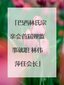 巴西林氏宗亲会首届理监事就职 林伟萍任会长