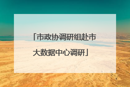 市政协调研组赴市大数据中心调研