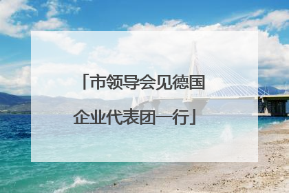 市领导会见德国企业代表团一行