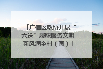 广信区政协开展“六送”履职服务文明新风润乡村（图）