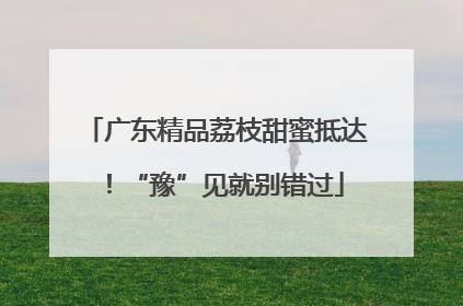 广东精品荔枝甜蜜抵达！“豫”见就别错过