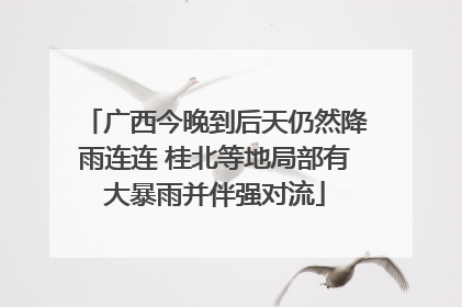 广西今晚到后天仍然降雨连连 桂北等地局部有大暴雨并伴强对流