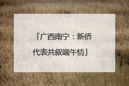 广西南宁：新侨代表共叙端午情