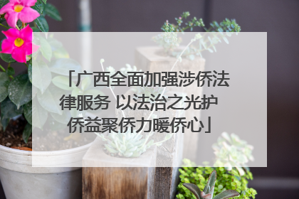 广西全面加强涉侨法律服务 以法治之光护侨益聚侨力暖侨心