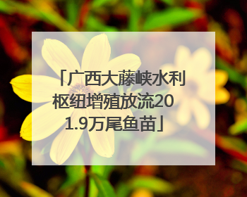广西大藤峡水利枢纽增殖放流201.9万尾鱼苗