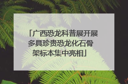 广西恐龙科普展开展 多具珍贵恐龙化石骨架标本集中亮相