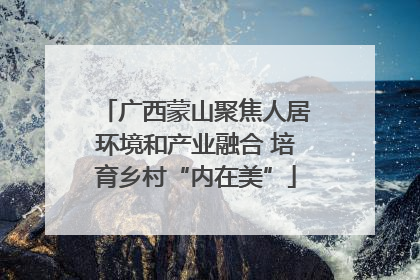 广西蒙山聚焦人居环境和产业融合 培育乡村“内在美”