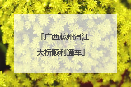 广西藤州浔江大桥顺利通车