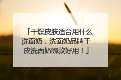 干燥皮肤适合用什么洗面奶，洗面奶品牌干皮洗面奶哪款好用！