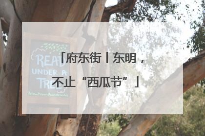 府东街丨东明，不止“西瓜节”