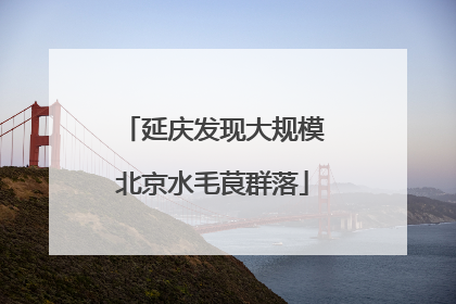 延庆发现大规模北京水毛茛群落