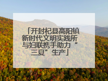 开封杞县高阳镇新时代文明实践所与妇联携手助力“三夏”生产