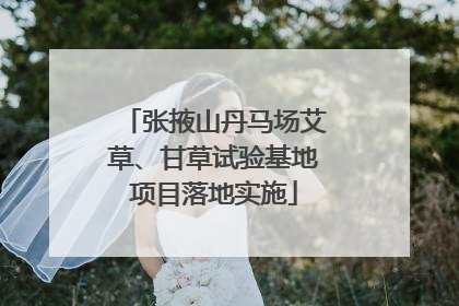 张掖山丹马场艾草、甘草试验基地项目落地实施