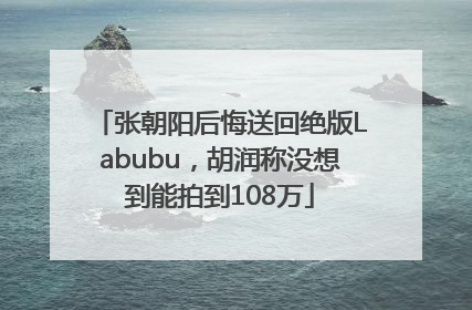 张朝阳后悔送回绝版Labubu，胡润称没想到能拍到108万