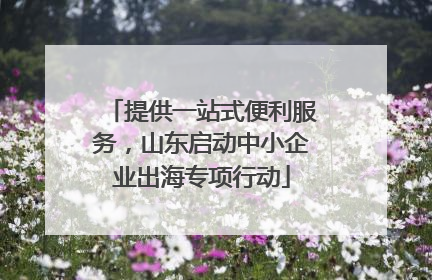 提供一站式便利服务，山东启动中小企业出海专项行动