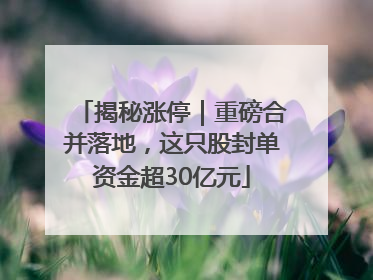 揭秘涨停｜重磅合并落地，这只股封单资金超30亿元